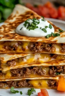 High Protein Beef Quesadilla