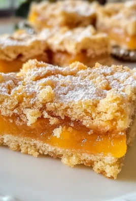 Apricot Shortbread Bars Recipe