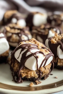 No Bake S'mores Cookie Dough Bites