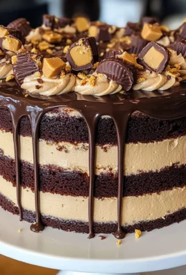 Reese's Chocolate Peanut Butter Cake